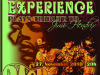 Happy Birthday Jimi 10
