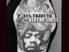 Happy Birthday Jimi 2012